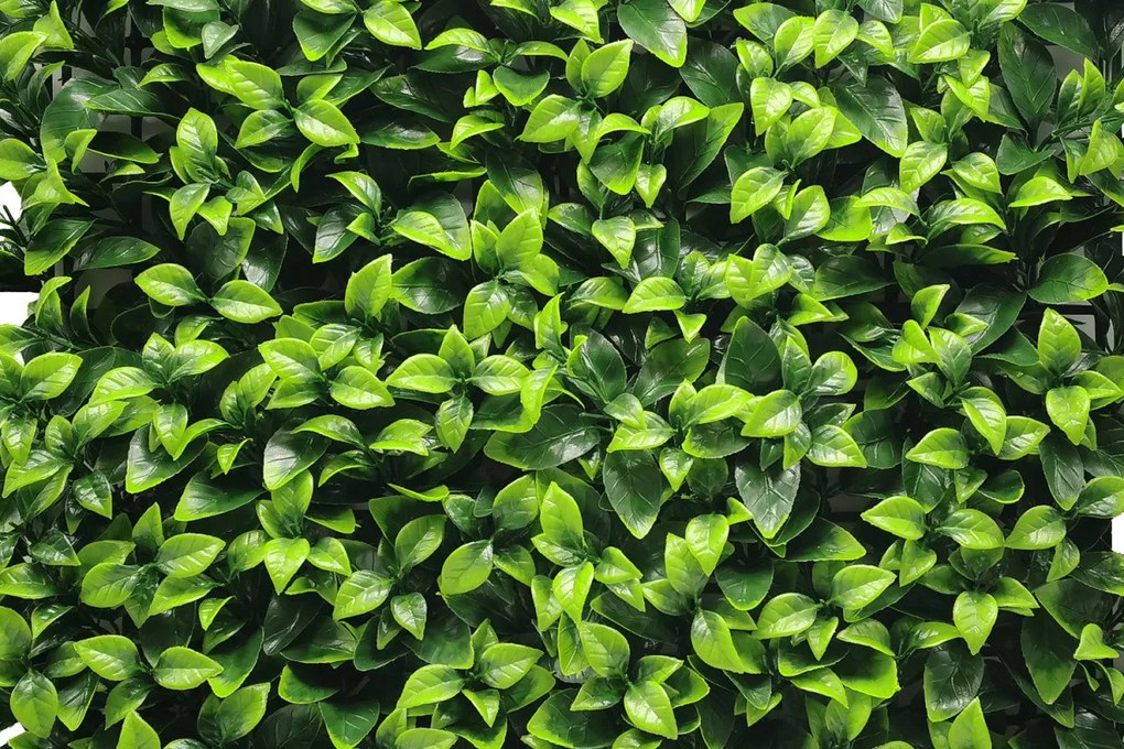 Umelý rastlinný panel FRESH LIGHT GREEN 50 x 50 cm - Panel 50x50 Europe Grass