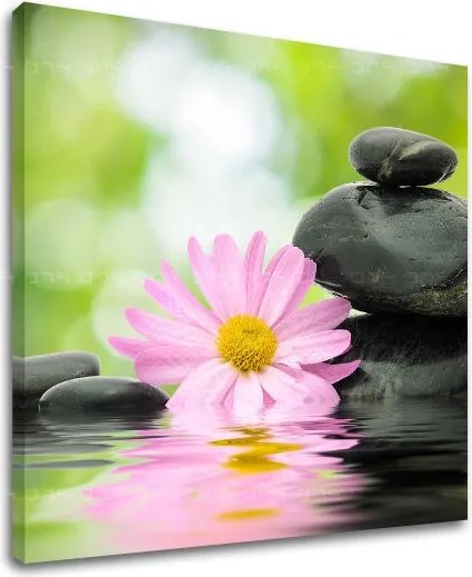 Obraz na stenu FENG SHUI FS009E12