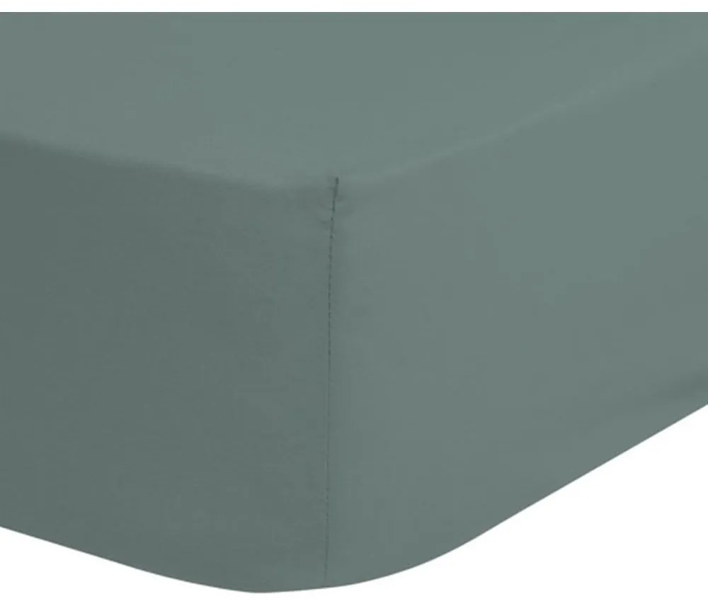 Detská zelená bavlnená elastická plachta Good Morning, 70 x 140/150 cm