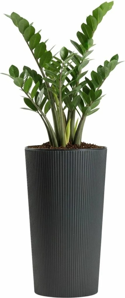 Plastový květináč URBANIKA ECO 46,6x25,5 cm antracitový