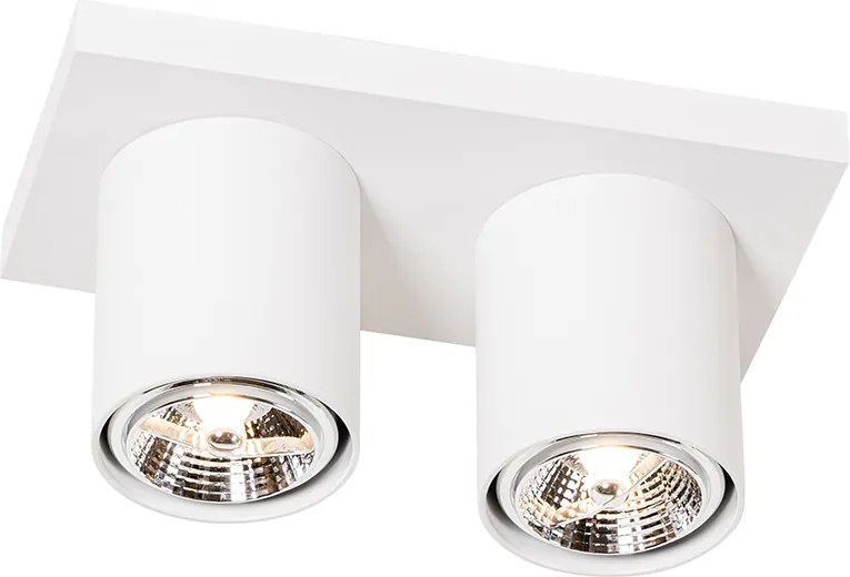 Moderné stropné bodové svetlo biele 2-žiarovkové - Tubo