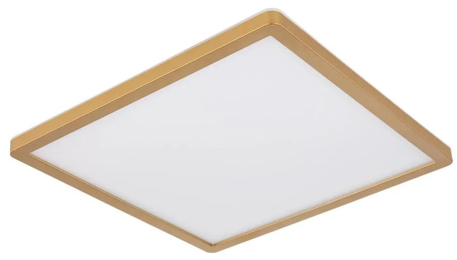 Globo 41563-24MM - LED Stm. strop. svietidlo SAPANA LED/24W/230V IP44