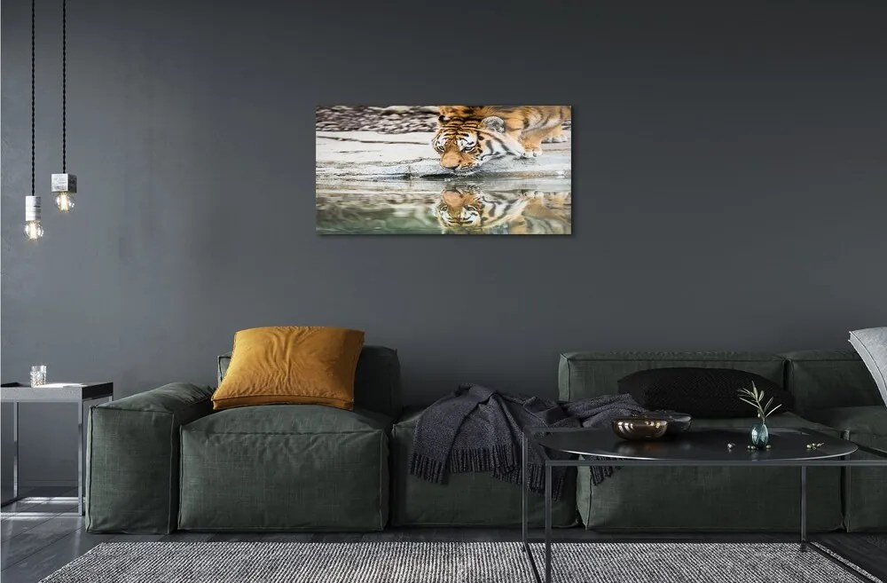 Sklenený obraz tiger pitie 100x50 cm