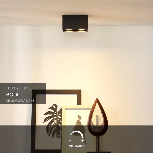 Lucide 09101/02/30 - Bodové svietidlo BODI 2xGU10/50W/230V