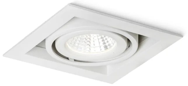 RENDL R10402 LEDA LED podhľadové svietidlo, LED biela