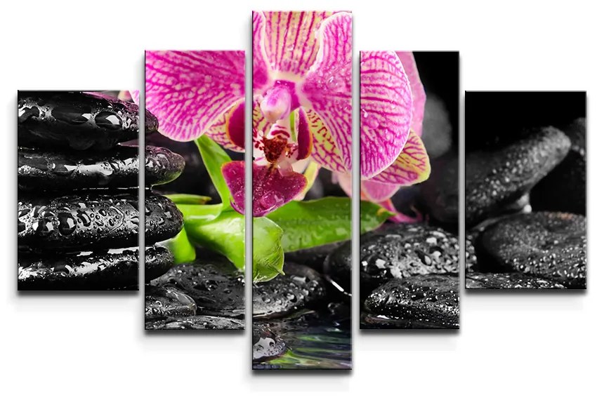 Sablio Obraz - 5-dílný Orchidea na kameňoch - 125x90 cm