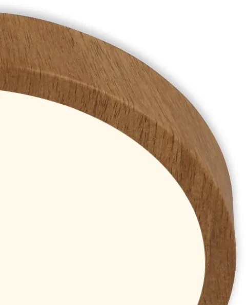 Brilo - LED Stropné svietidlo RUNA LED/12W/230V