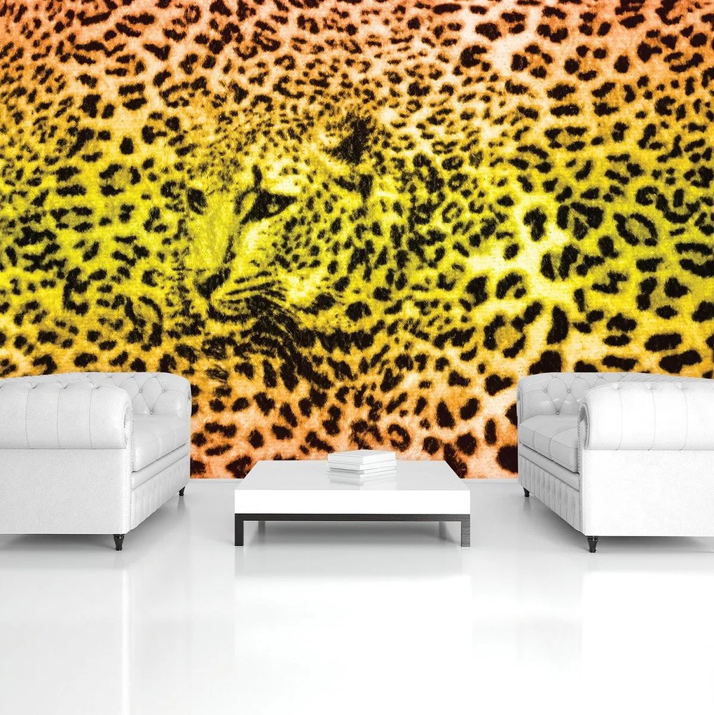 Fototapeta - Gepard leopardí (152,5x104 cm)