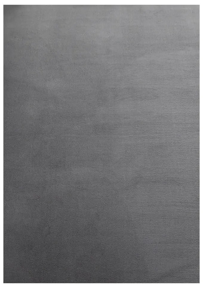 Sivý prateľný koberec 200x290 cm Sky – Ayyildiz Carpets