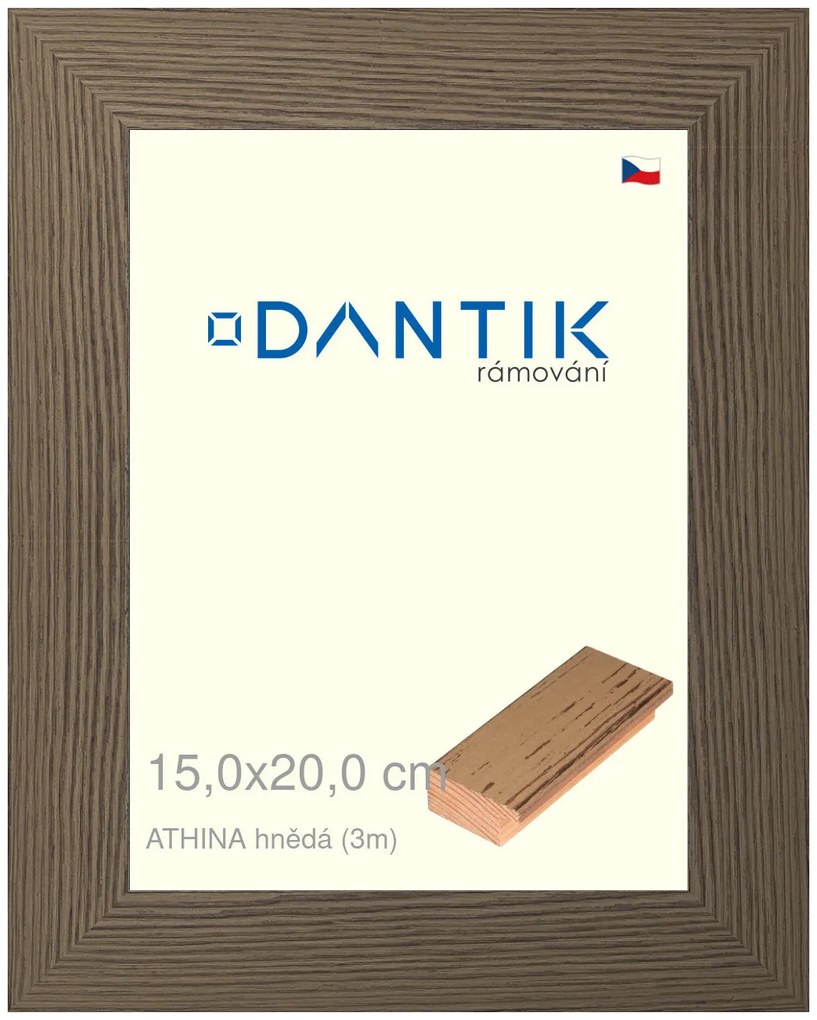 DANTIK rám na obraz 15x20 | ATHINA hnědá (Sklo Čiré)