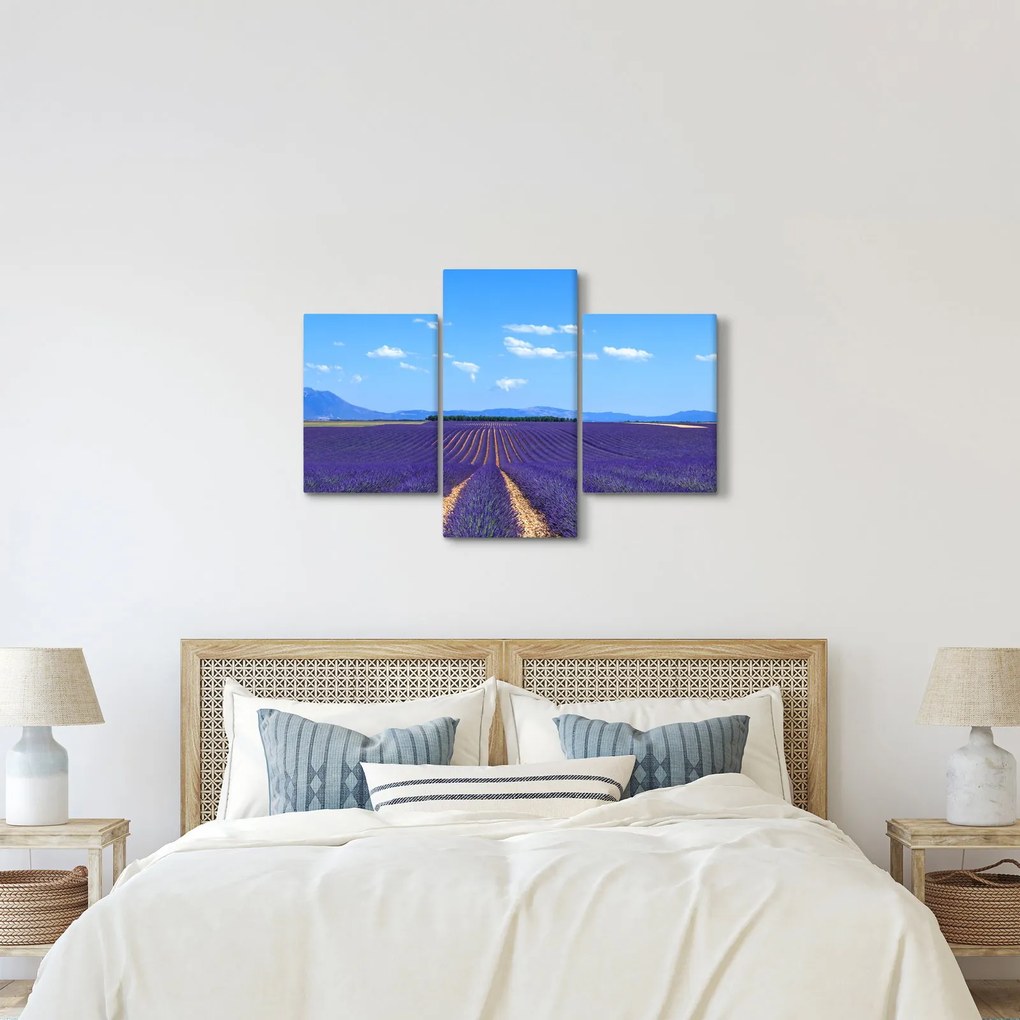 Obraz - Levanduľové pole (90x60 cm)