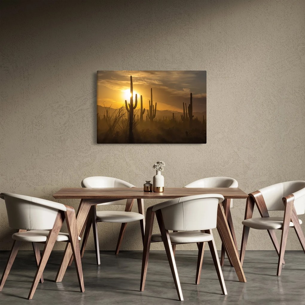 Obraz - Kaktusy Saguaro (90x60 cm)