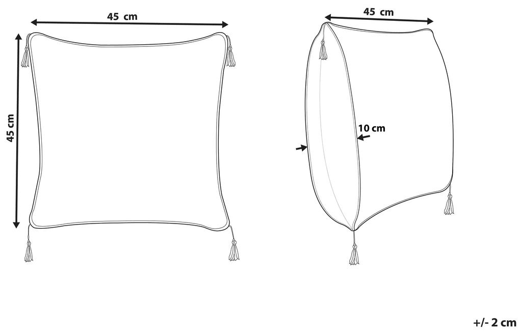 Bavlnený vankúš s geometrickým vzorom so strapcami 45 x 45 cm béžový / čierny DEADNETTLE Beliani