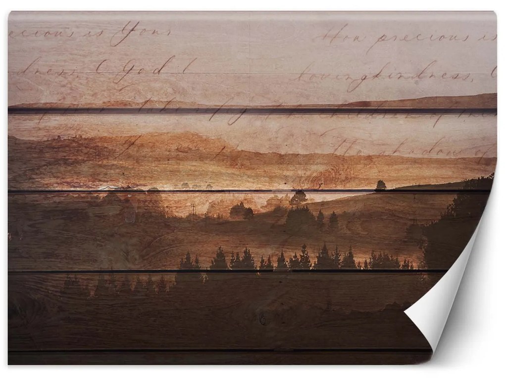 Gario Fototapeta Les na historických doskách Materiál: Vliesová, Rozmery: 400 x 280 cm
