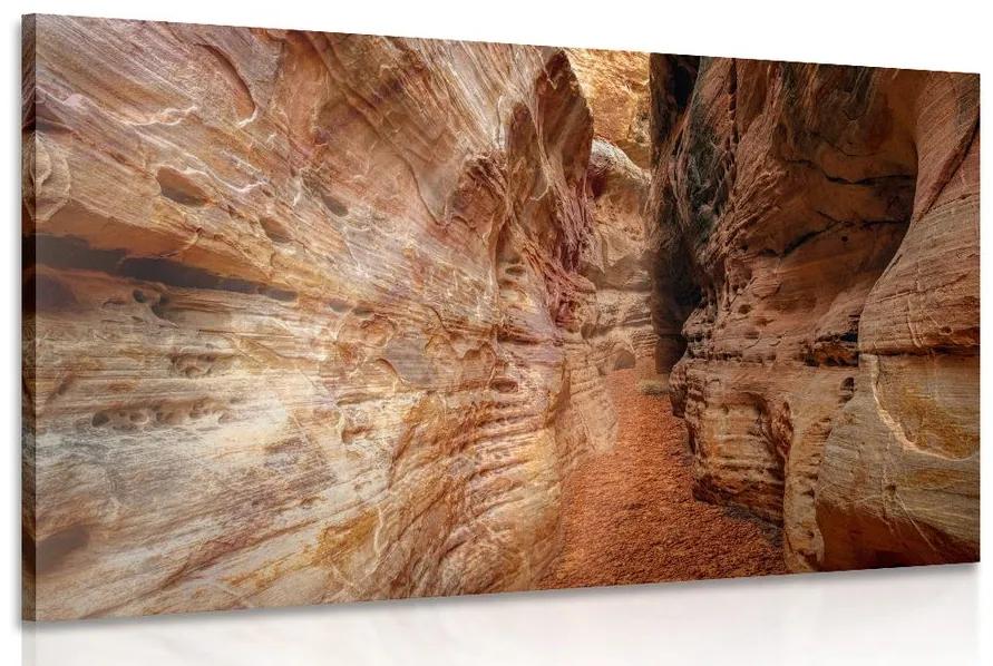 Obraz cestička Grand Canyonom Varianta: 60x40