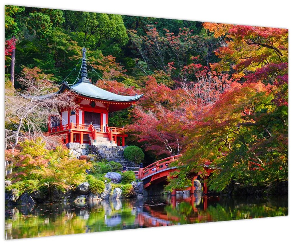 Obraz - Daigodži (90x60 cm)