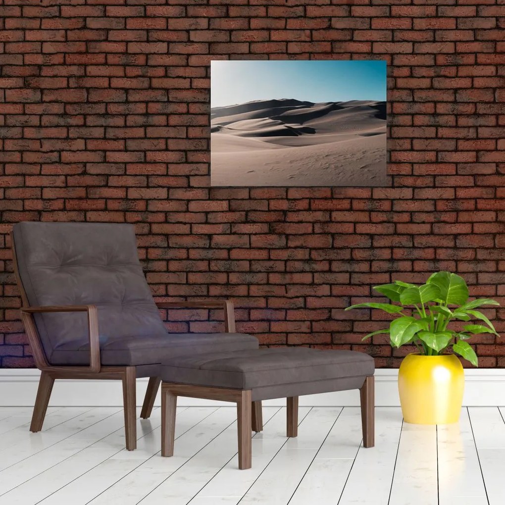 Sklenený obraz - Z púšte (70x50 cm)