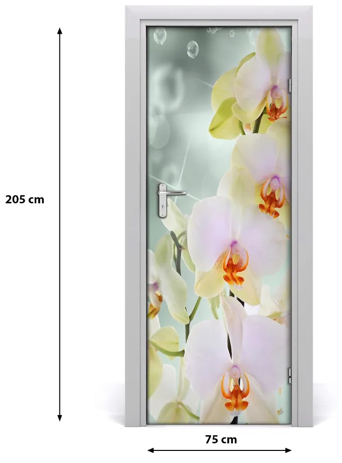 Fototapeta samolepiace orchidea 75x205 cm