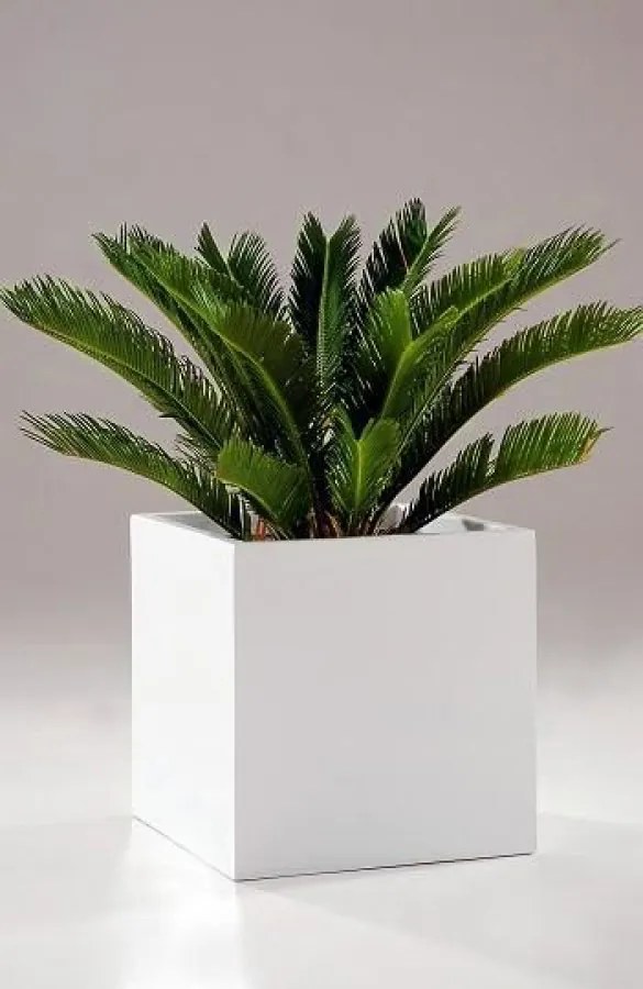 Kvetináč BLOCK, sklolaminát, 50x50x50 cm, biely mat