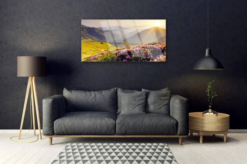Skleneny obraz Hora lúka krajina 100x50 cm