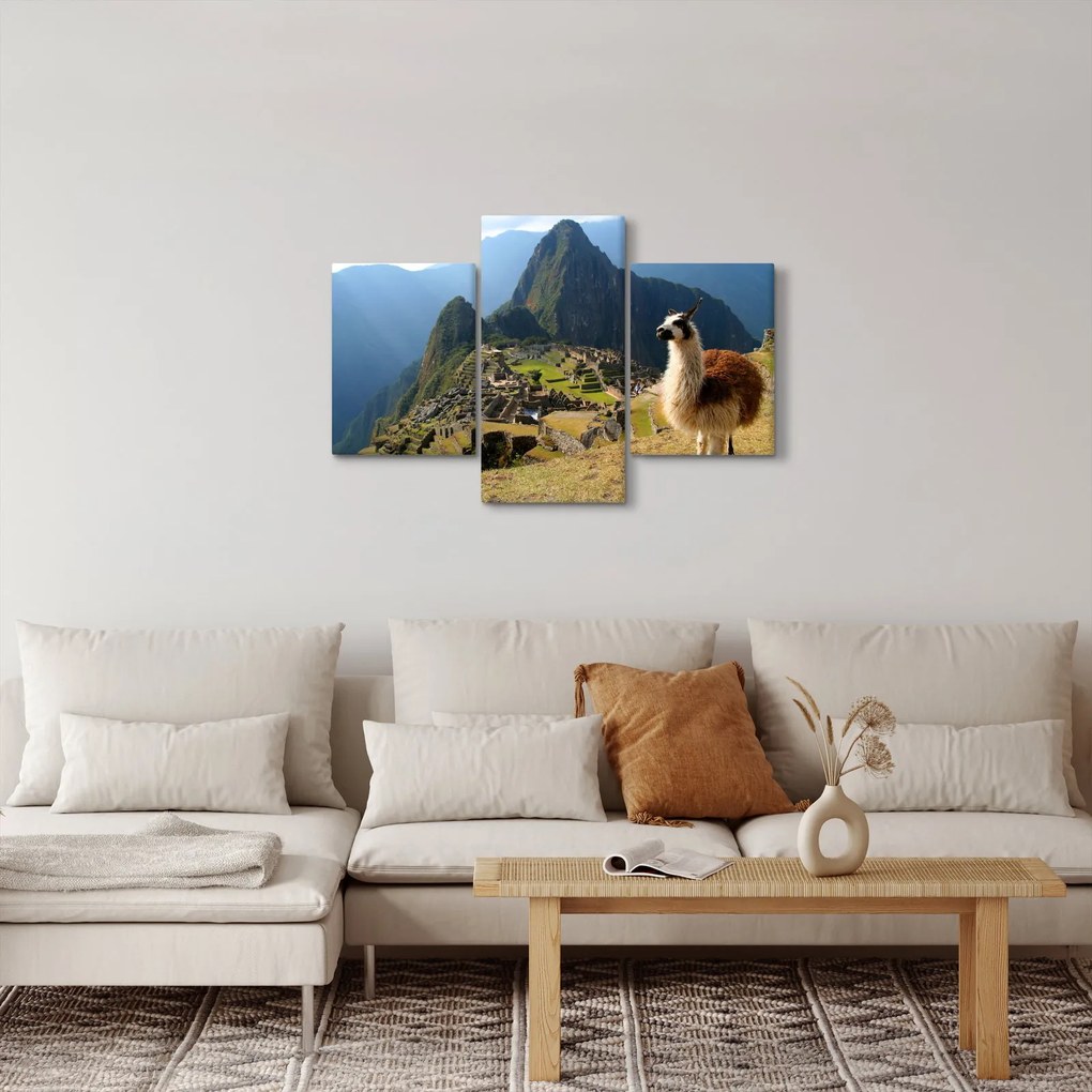 Obrázok - Lama a Machu Picchu (90x60 cm)