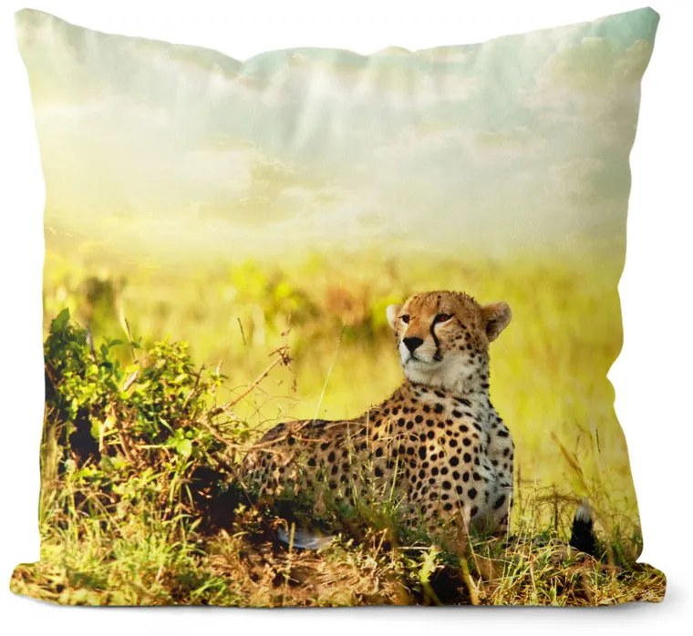 Vankúš Gepard (Veľkosť: 55 x 55 cm)