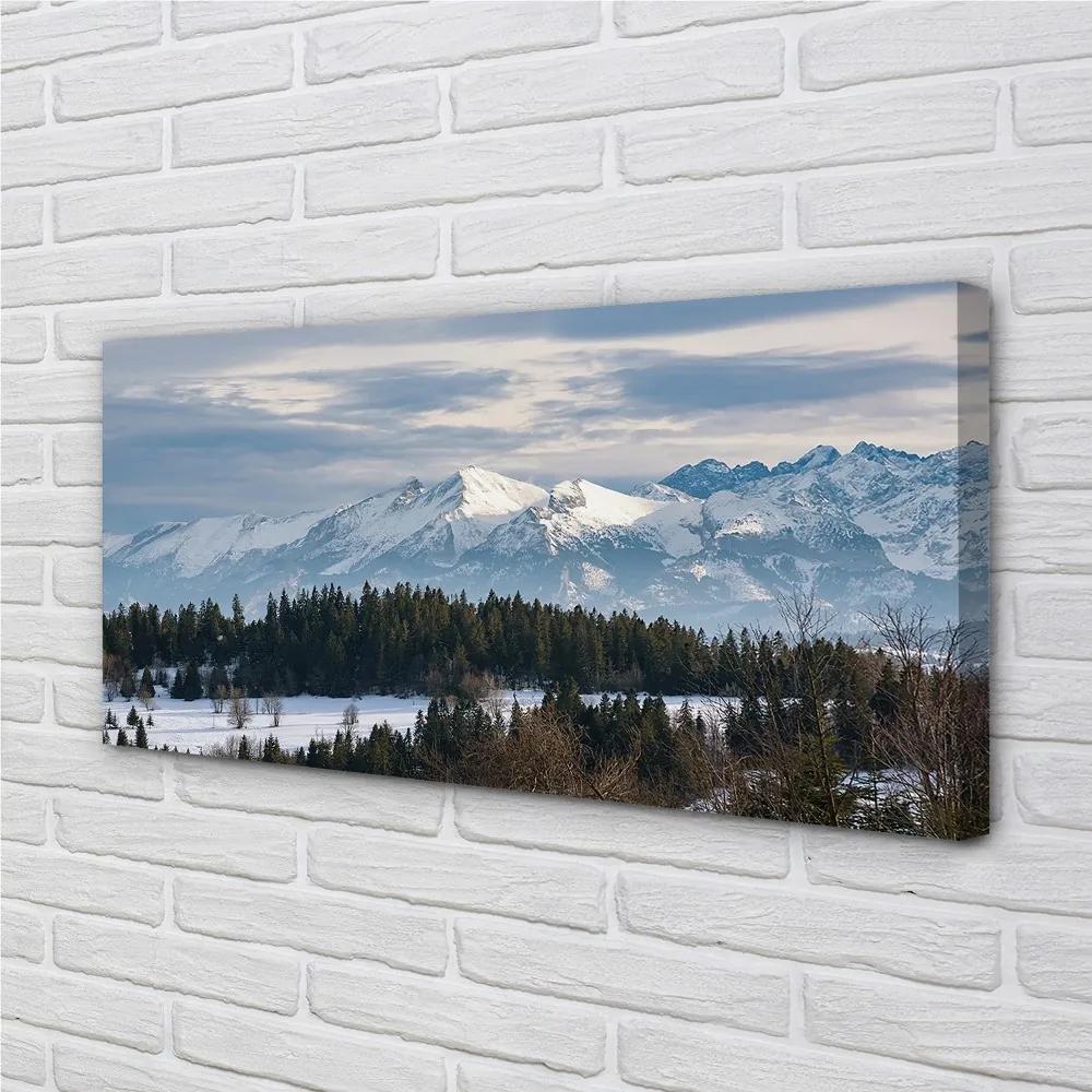 Obraz canvas horské zimné 140x70 cm