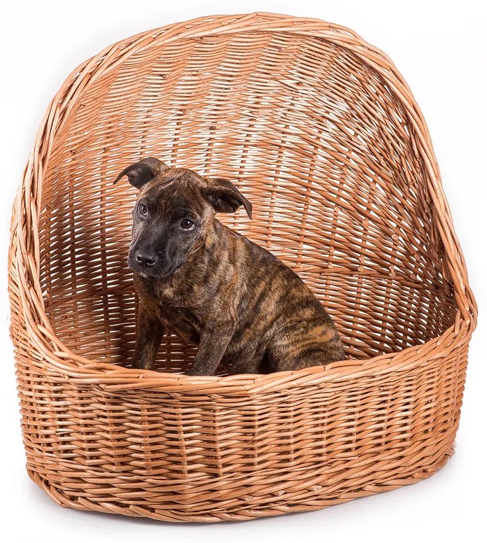 Búda strieška prútená Dina II.š. 60 x hl. 46 x v. 16/48(cm)