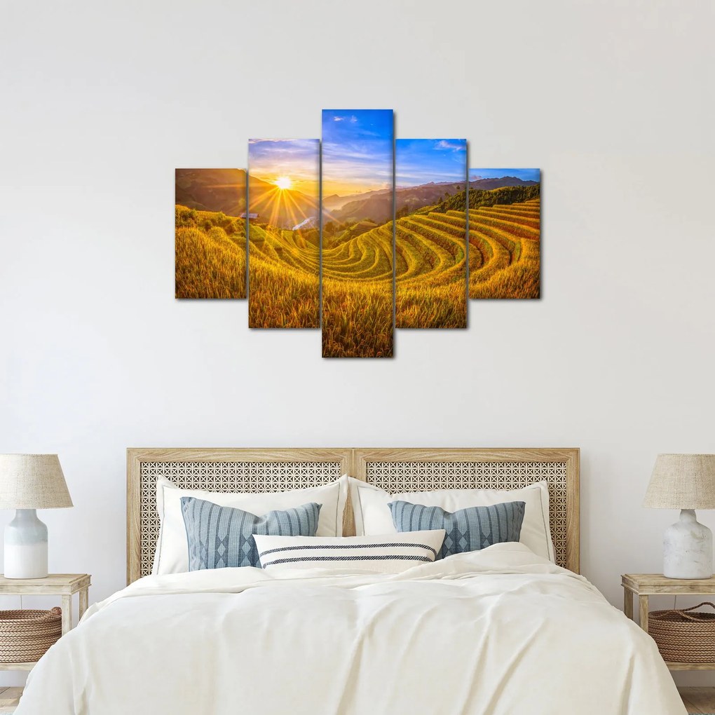 Obraz - Ryžové terasy vo Vietname (150x105 cm)