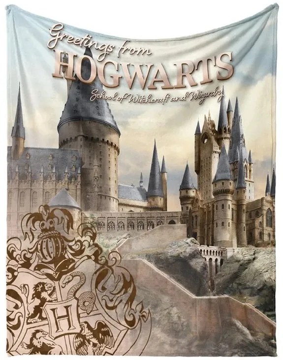 Detská deka Harry Potter Rokfortské Tajomstvo 130x160 cm