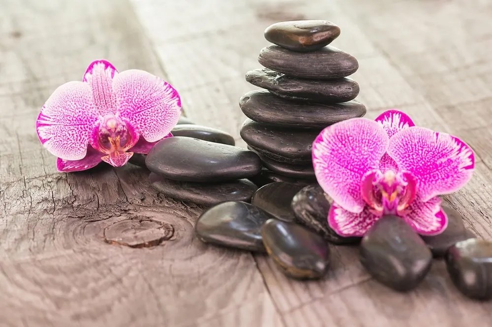 Samolepiaca fototapeta orchidea a Zen kamene na dreve - 375x250