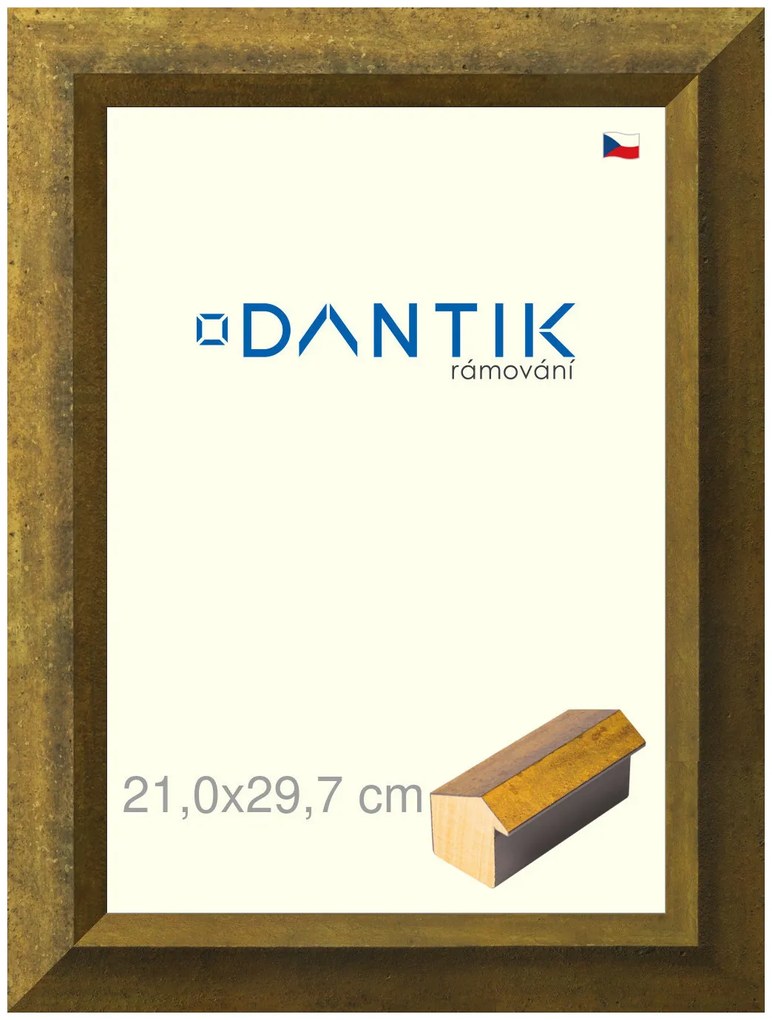 DANTIK rám na obraz 21x29,7 | Forgia Gold (Sklo Čiré)