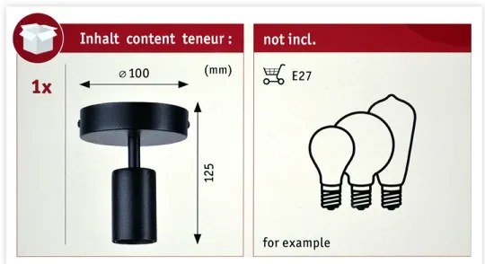 Paulmann 79760 - Stropné svietidlo HALDOR 1xE27/20W/230V