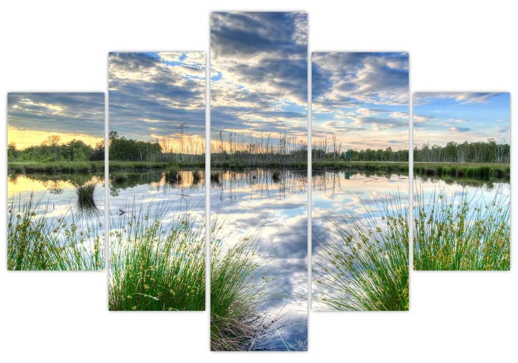 Obraz jazera s tŕstím (150x105 cm)