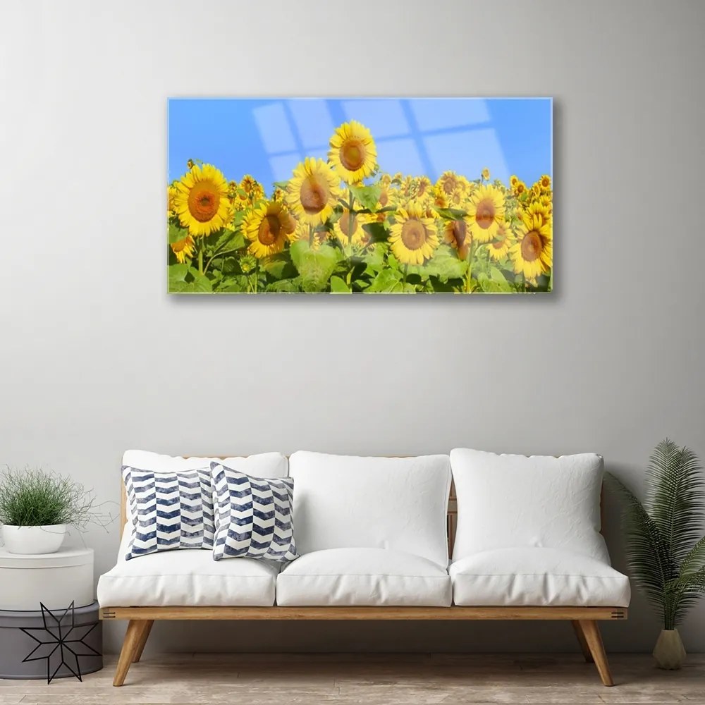 Obraz na skle Slnečnica kvet rastlina 120x60 cm