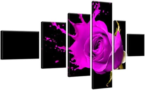 Obraz na plátne Šplech fialová ruža 180x100cm 1217A_6E