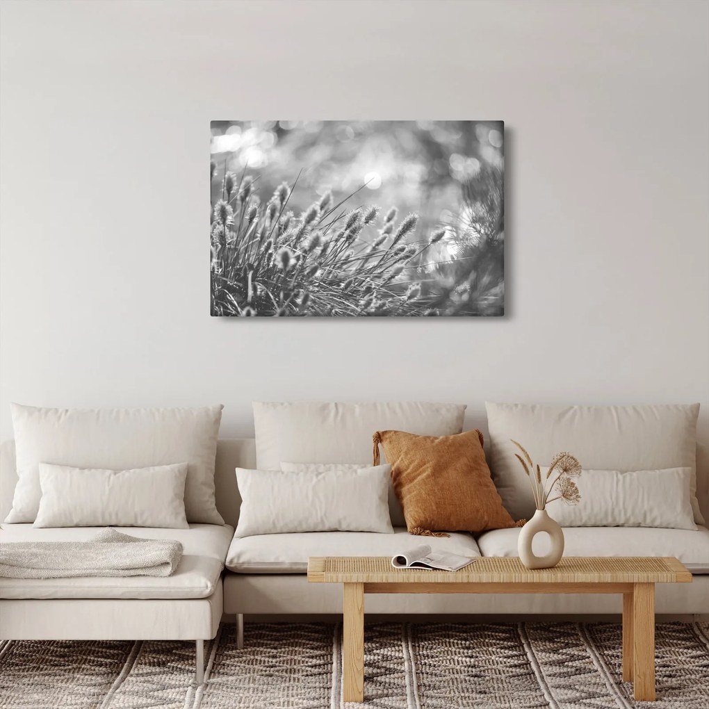 Obraz - Béžová soft grass N⁰1 (90x60 cm)