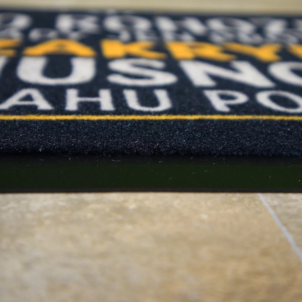 Mercury Flooring, Rohožka Hnusná podlaha 40x60 cm, 40x60, čierna