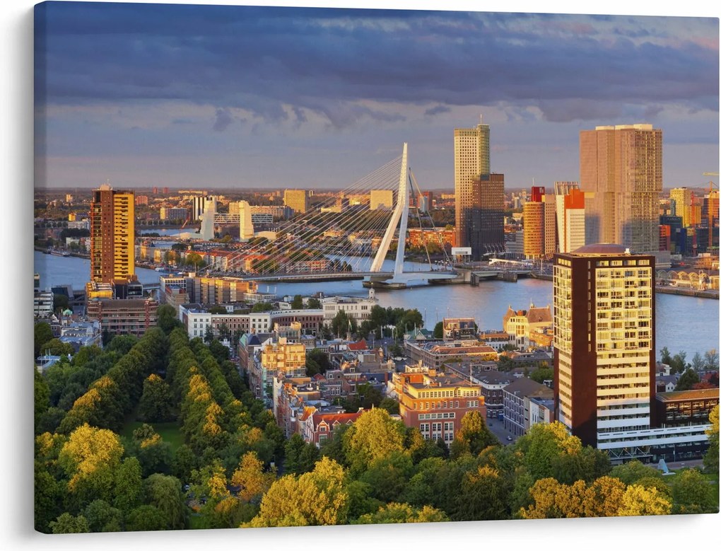 Obraz - Panorama Rotterdamu, Holandsko (70x50 cm)