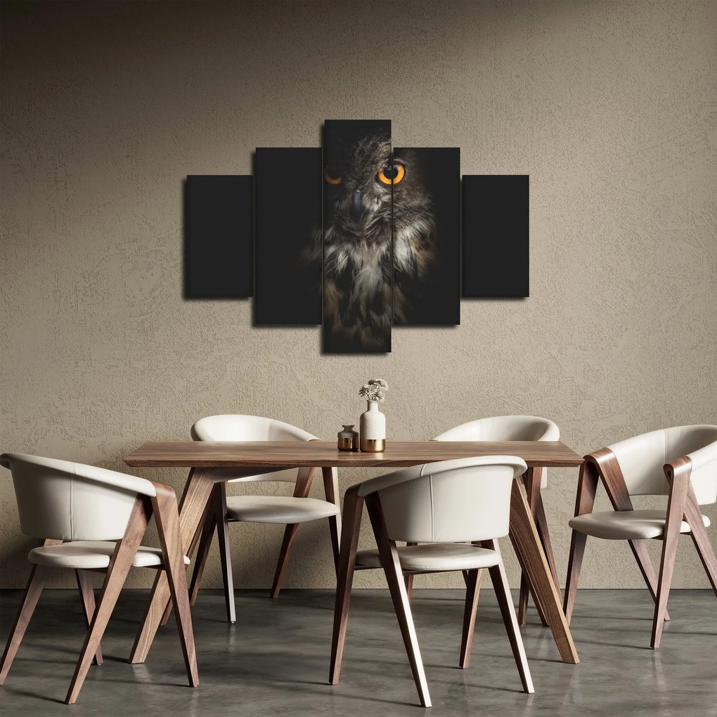 Obraz sovy (150x105 cm)