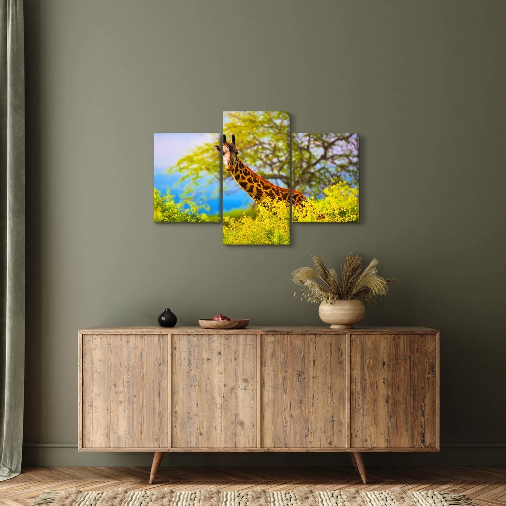 Obraz žirafy v Afrike (90x60 cm)