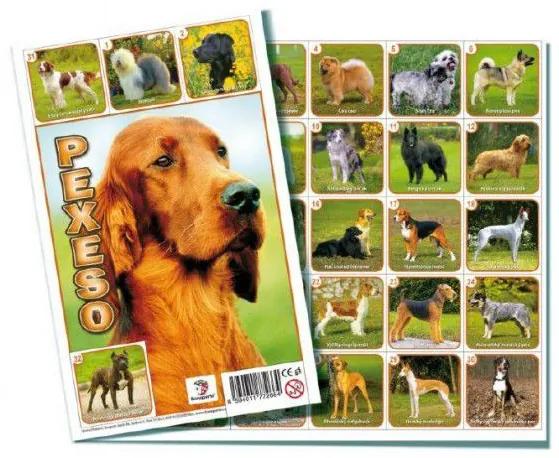 Psy spoločenská hra 32 obrázkových dvojíc