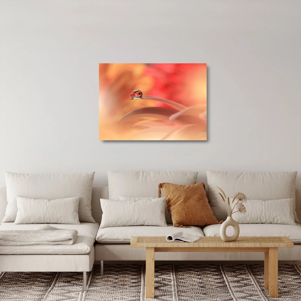 Sklenený obraz kvetinové kvapky rosy (70x50 cm)