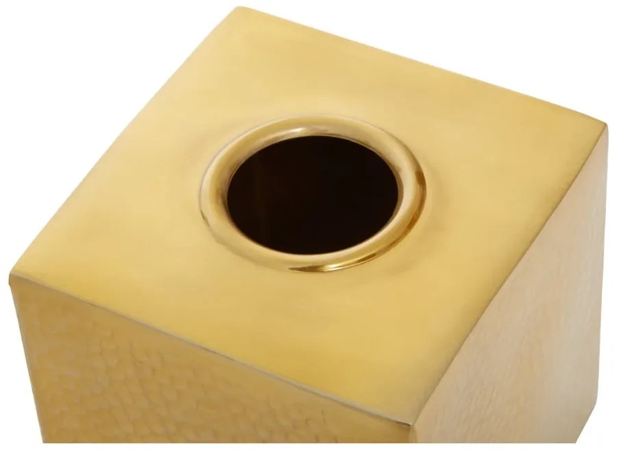 Kovový box na vreckovky Allegra – Premier Housewares
