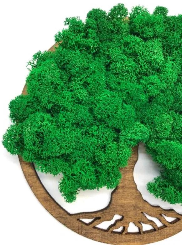 Strom na stenu z machu Dark Metis 20 cm