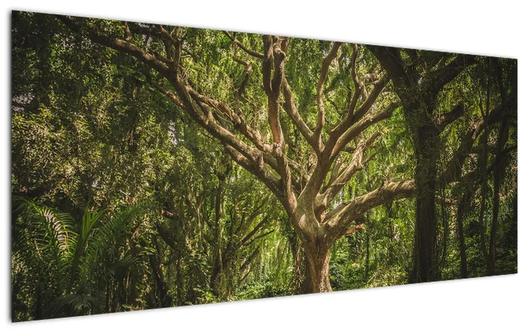 Obraz stromov (120x50 cm)