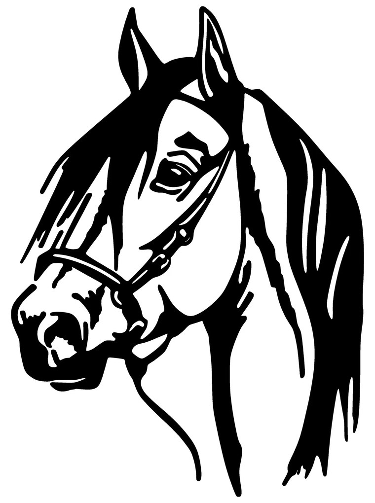 Horse Head