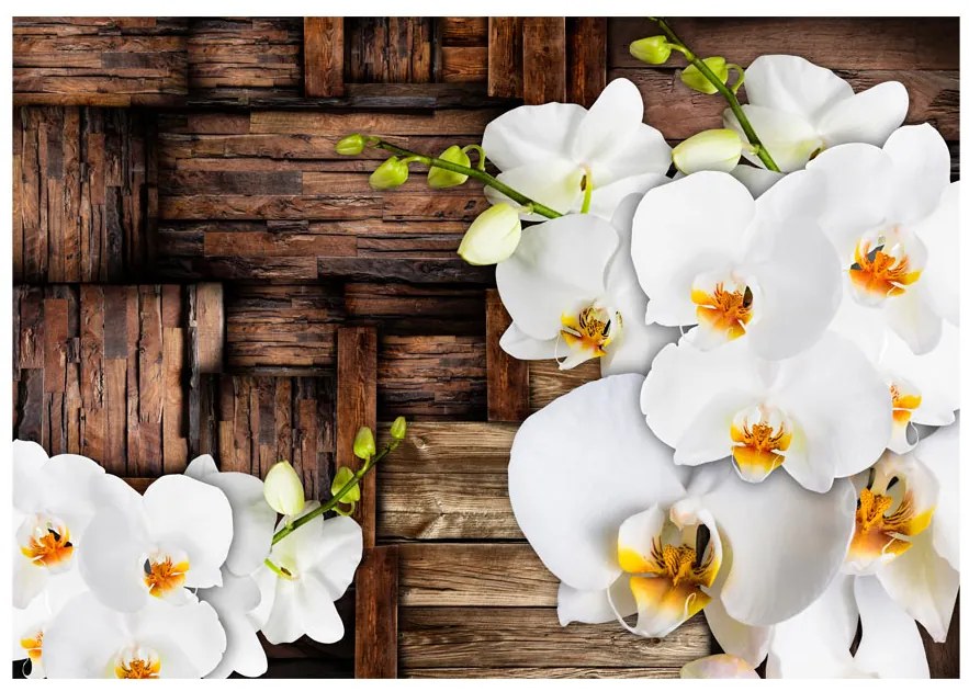 Artgeist Fototapeta - Blooming orchids Veľkosť: 150x105, Verzia: Standard