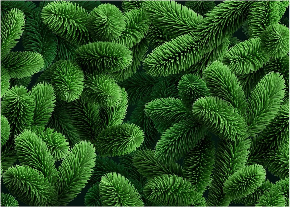 Sklenený obraz - Vetvičky ihličnanu (70x50 cm)