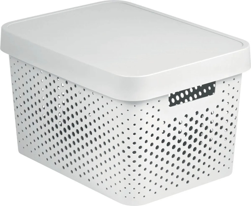 Curver Úložný box INFINITY L 17l